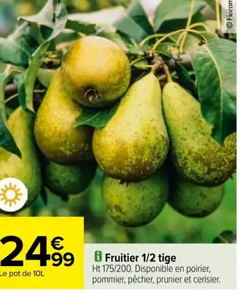 Carrefour i Fruitier 1/2 tige offre