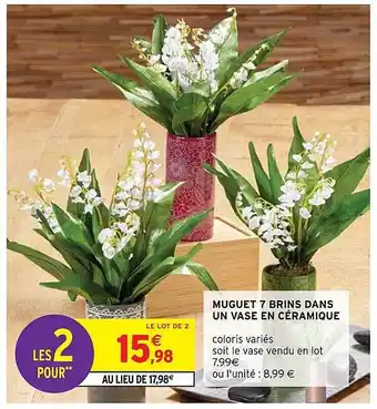 Intermarché Muguet 7 Brins Dans Un Vase En Céramique offre