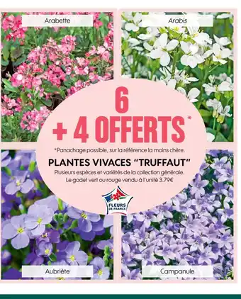 Truffaut TRUFFAUT PLANTES VIVACES offre