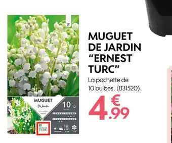 Truffaut ERNEST TURC MUGUET DE JARDIN offre