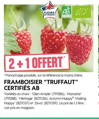 Truffaut TRUFFAUT FRAMBOISIER CERTIFIÉS AB offre
