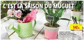 Muguets 5 Griffes Dans Un Pot Céramique Ou Bouquet Bulle 10 Brins