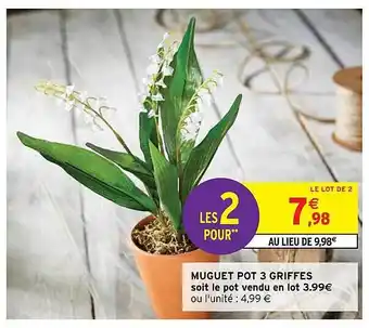 Intermarché Express Muguet Pot 3 Griffes offre