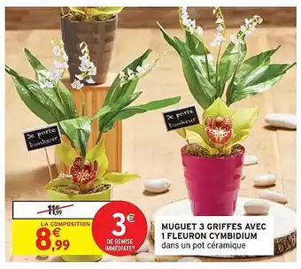Intermarché Express Muguet 3 Griffes Avec 1 Fleuron Cymbidium offre
