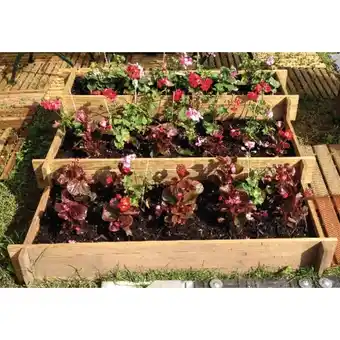 Auchan Carré Potager En Escalier 90 X 90 Cm Gardenstar offre