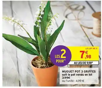 Intermarché Hyper Muguet Pot 3 Griffes offre