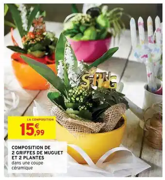 Intermarché Hyper Composition De 2 Griffes De Muguet Et 2 Plantes offre