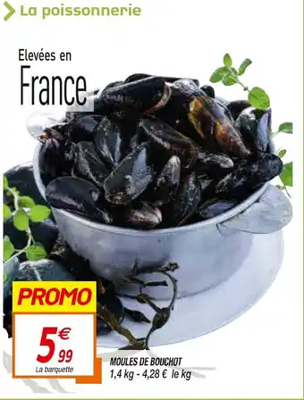 Netto Moules de Bouchot offre