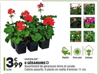 ALDI 6 Geraniums offre