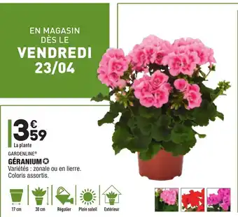 ALDI Geranium offre