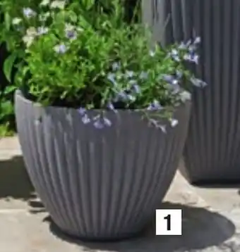 ALDI Petit Pot de Fleur au Prix offre