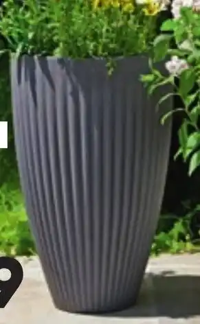 ALDI Grand de Pot de Fleur au Prix offre