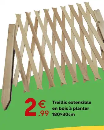 Maxi Bazar Treillis extensible en bois à planter 180x30cm offre