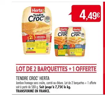 Match HERTA TENDRE CROC’ offre