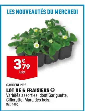 ALDI GARDENLINE LOT DE 6 FRAISIERS offre