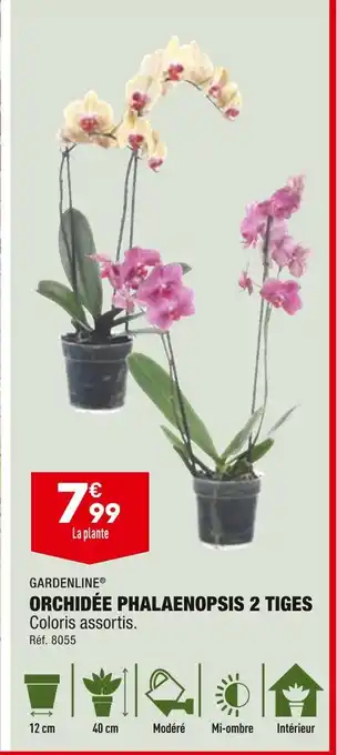 ALDI GARDENLINE ORCHIDÉE PHALAENOPSIS 2 TIGES offre