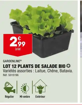 ALDI GARDENLINE LOT 12 PLANTS DE SALADE BIO offre