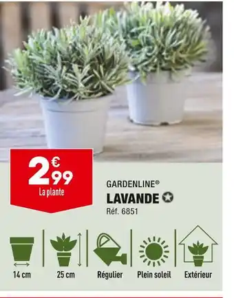 ALDI GARDENLINE LAVANDE offre