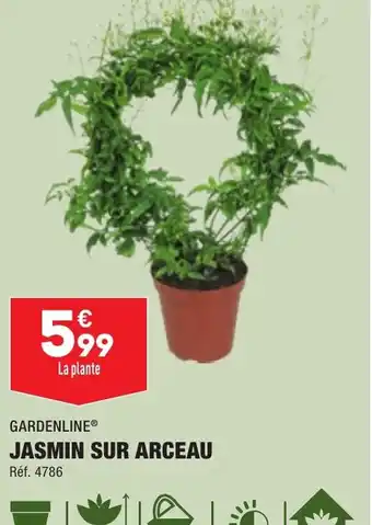 ALDI JASMIN SUR ARCEAU offre