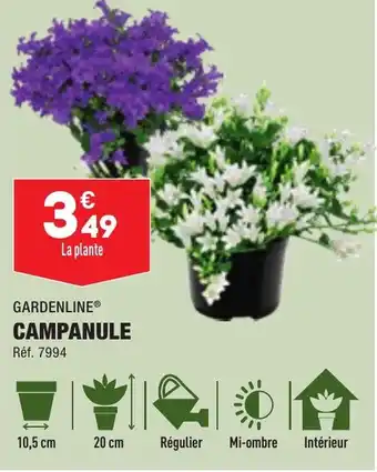 ALDI GARDENLINE® CAMPANULE offre