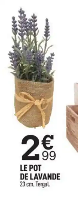 Centrakor LE POT DE LAVANDE 23 cm. Tergal. offre