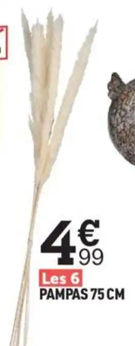 Centrakor PAMPAS 75 CM offre
