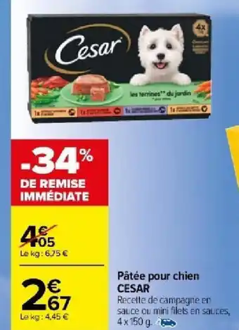 Carrefour Market Pâtée pour chien CESAR offre