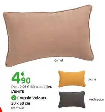 Coussin velours