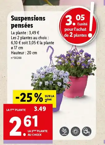 Lidl Suspensions pensées offre