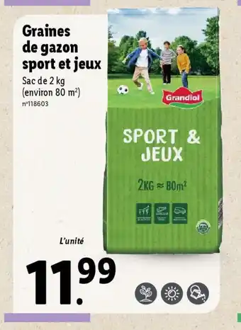 Lidl Graines de gazon sport et jeux offre