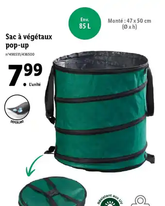 Lidl Sac à végétaux pop-up offre