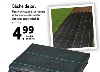 Lidl Bâche de sol offre