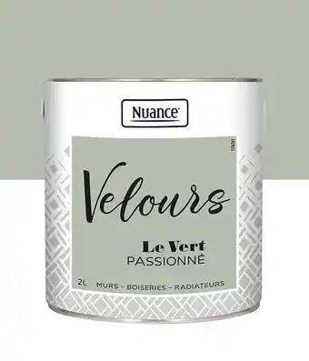 Bricorama Peinture Velours - Vert passionne - Multi-support - 2L offre