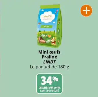 Coccinelle Supermarché Mini œufs Praliné LINDT Le paquet de 180 g offre