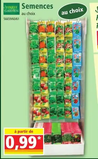 Norma SEMENCES offre