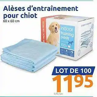 Action Alèses D'entraînement Pour Chiot offre