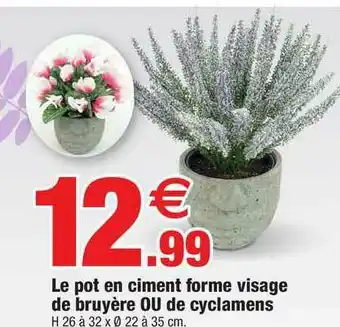 Le Pot En Ciment Forme Visage De BruyĂšre Ou De Cyclamens