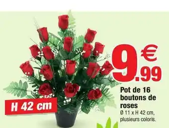 Bazarland Pot De 16 Boutons De Roses offre