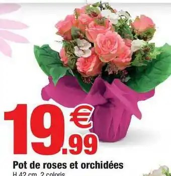 Bazarland Pot De Roses Et Orchidées offre