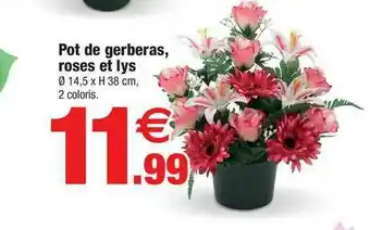 Bazarland Pot De Gerberas Roses Et Lys offre