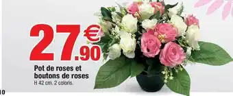 Pot De Roses Et Boutons De Roses