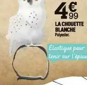 Centrakor La Chouette Blanche offre