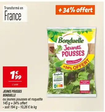 Netto BONDUELLE JEUNES POUSSES offre