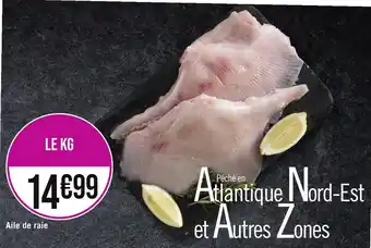 Aile de raie