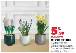 Auchan Auchan - noix sèches filière cultivons le bon offre