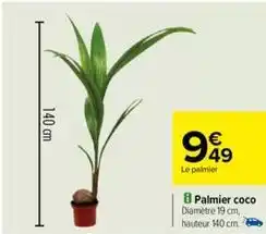 Carrefour Drive Palmier coco offre