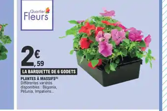 E.Leclerc PLANTES À MASSIFS(5) offre