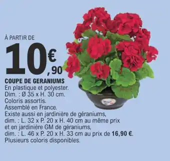 E.Leclerc COUPE DE GERANIUMS offre