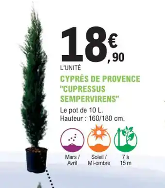 E.Leclerc Jardi CYPRÈS DE PROVENCE "CUPRESSUS SEMPERVIRENS" offre