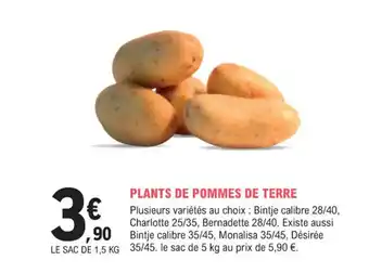 E.Leclerc Jardi PLANTS DE POMMES DE TERRE offre